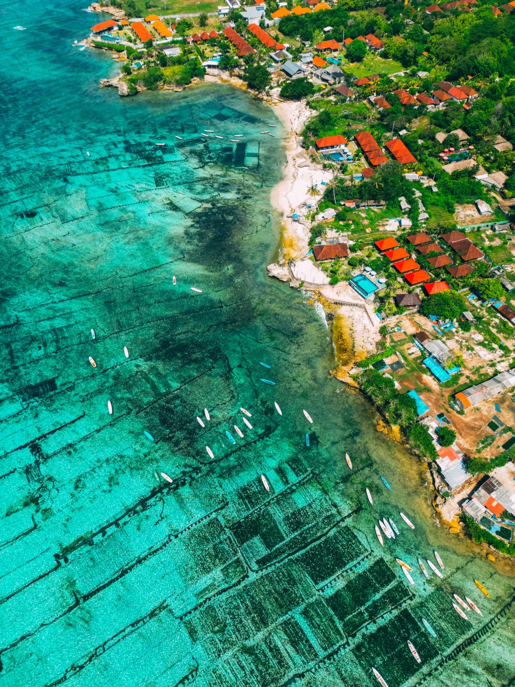 Aerial view of seaweed farm plots in turquoise shallows along the village coastline, Nusa Ceningan